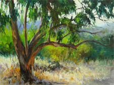 Tower of Strength - Big Eucalyptus Tree - Pasadena