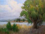 By the Bay Sweet Springs Baywood Los Osos plein air oil painting by karen Winters
