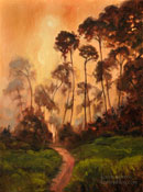 Cambria Pines Santa Rosa Creek Oil Painting