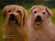 Norfolk Terrier Pet Portrait Jack and Lucy