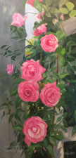Pink Rose Trellis Huntington Rose Gardens