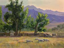 Sheltered by the Sierra Sheep Grazing in Bishop oil painting