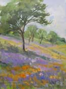 Cambria Lupine Flowers Oil Painting Field Study