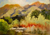 Eaton Canyon wildflower painting