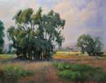 Fields of Peace - Los Osos Valley Road - SLO Baywood California Central Coast original oil painting by Karen Winters