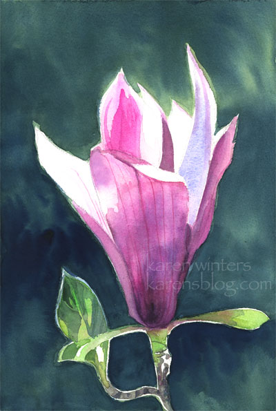 Magnolia Glow Tulip Tree Magnolia watercolor painting