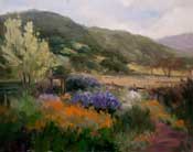 Ranch Garden San Luis Obispo - Marcia Burtt's Garden on a Cloudy Day in Spring