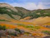 On the Golden Tejon - california poppies wildflowers Tejon Ranch California landscape oil painting by Karen Winters
