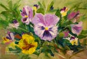 Pansy miniature oil painting