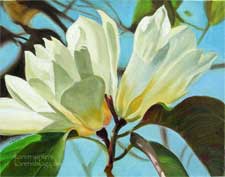 White Magnolias Botanical Painting Huntington Gardens