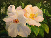 Sally Holmes White Roses Oil Painting